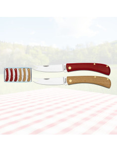 Set de 6 couteaux à deux couleurs Albainox fromager -...