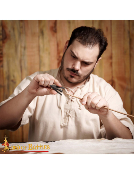 Ensemble de 3 pointes de flèche...