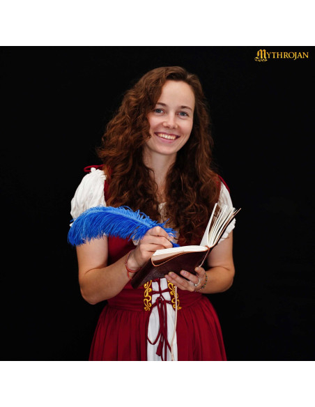 Journal médiéval à couverture en cuir...