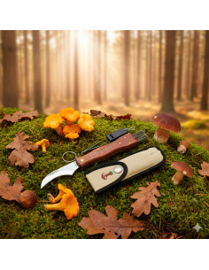 Couteau multifonction Albainox avec brosse, pince et...