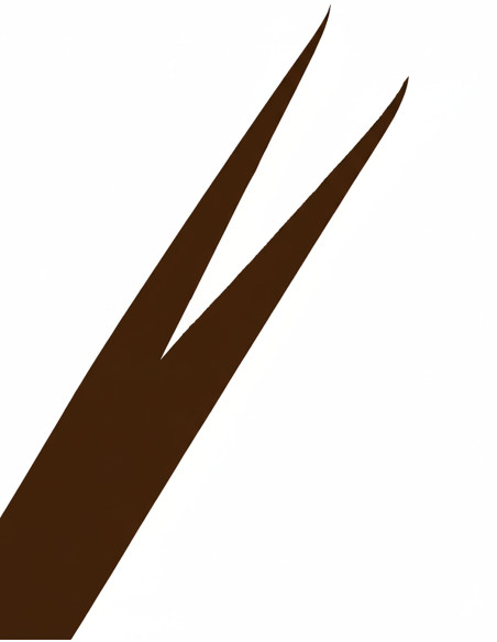 Ceinture Médiévale Galileo - Marron...