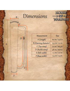 Carquois médiéval en cuir pour dos, couleur noire 2