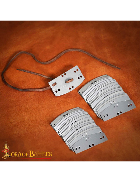 Pack de 100 plaques en acier...