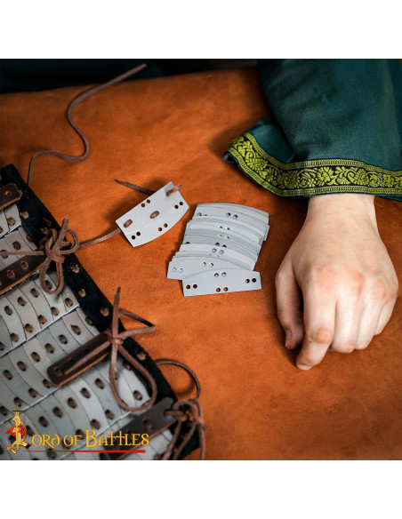 Pack de 100 plaques en acier...