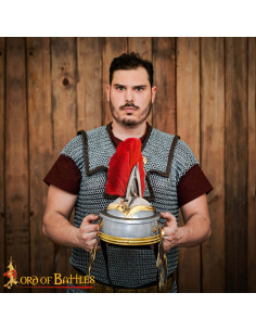 Casque impérial gaulois romain en acier poli avec plumeau 2