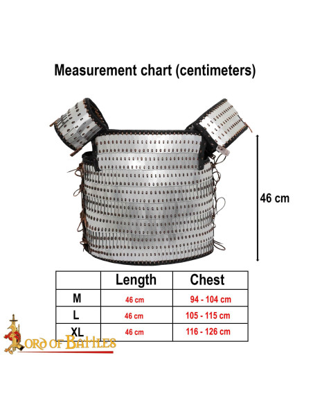 Armure médiévale en plaques...