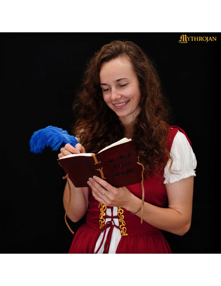 Journal médiéval à couverture en...