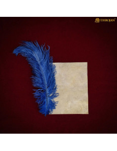 Feuille de parchement médiéval en peau de chèvre (15,5 x... 2