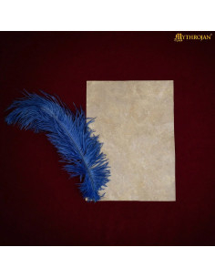 Feuille de parchemin médiéval en peau de chèvre (20x28,5... 2