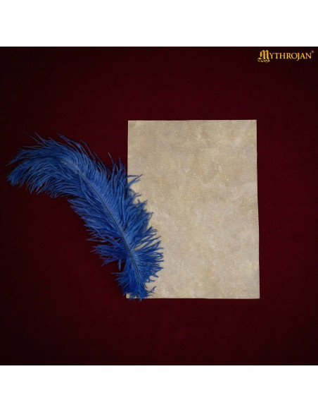 Feuille de parchemin médiéval en peau...