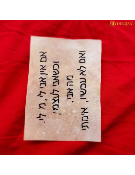 Feuille de parchemin médiéval en peau...