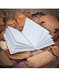 Journal médiéval à couverture en cuir, fermeture à... 2