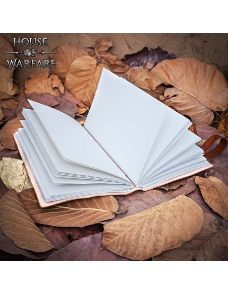 Journal médiéval à couverture en...