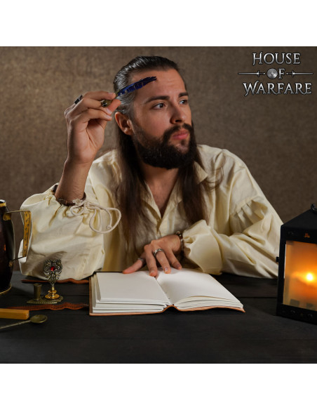 Journal médiéval à couverture en...