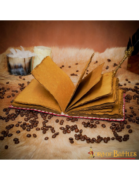 Journal médiéval à couverture en...