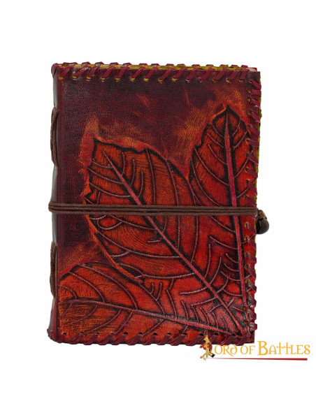 Journal médiéval à couverture en...