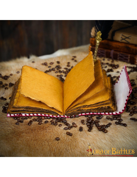 Journal médiéval à couverture en cuir...