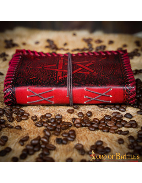 Journal médiéval à couverture en cuir...