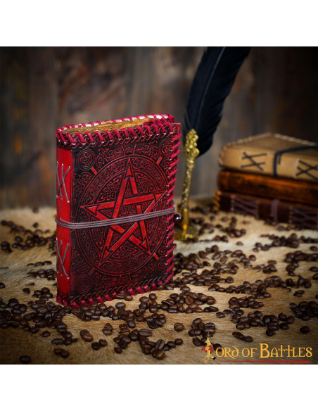 Journal médiéval à couverture en cuir...