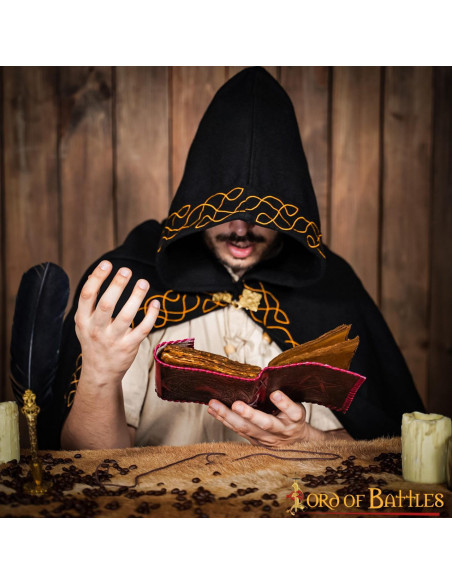 Journal médiéval à couverture en cuir...