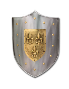 Bouclier métal fleur de lys
