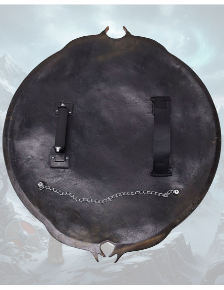 Bouclier décoratif non officiel de...