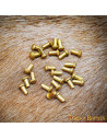 Set de 50 rivets tête de champignon en laiton