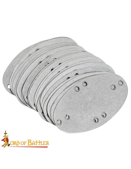 Set de 25 plaques lamellaires en...