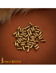 Set de 25 rivets à tête plate en laiton (6 mm)