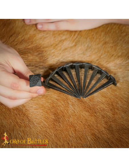 Ensemble de 10 clous médiévaux forgés...