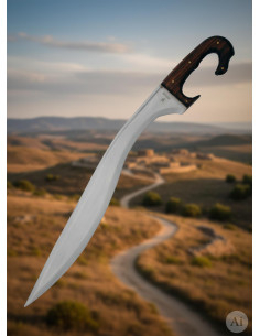 Falcata ibérique artisanale fonctionnelle avec fourreau,... 2
