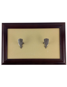 Cadre d'affichage 1 pistolet (22x37,5 cm.)