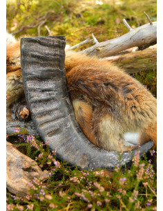 Corne viking du bison pour la reconstitution historique