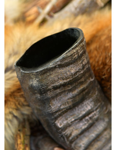 Corne viking du bison pour la reconstitution historique 2