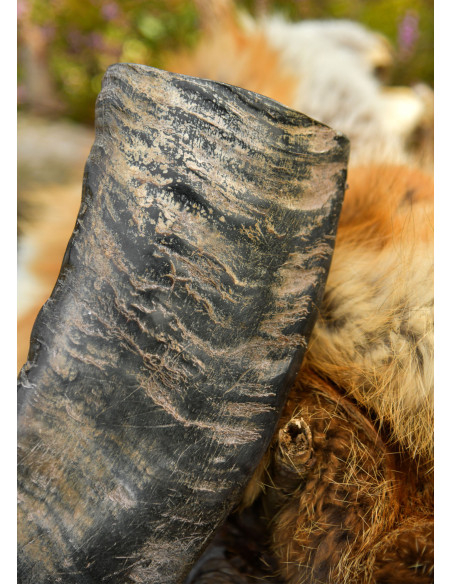 Corne viking du bison pour la...