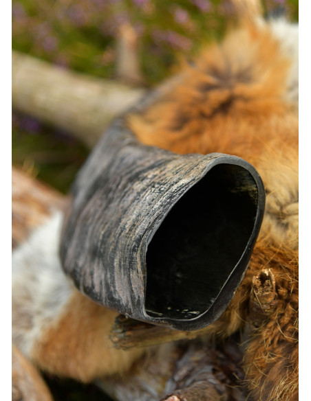 Corne viking du bison pour la...