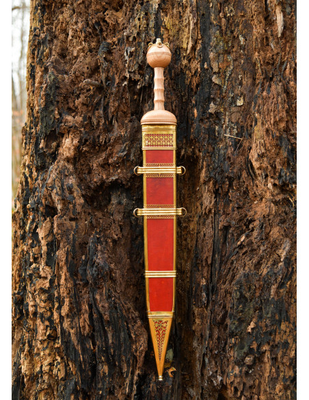 Épée Gladius Romaine Dubravicaj avec...