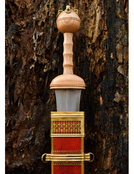 Épée Gladius Romaine Dubravicaj avec...