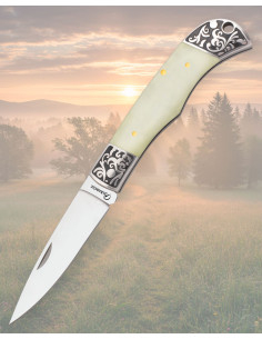 Couteau Albainox en acier inoxydable de 8 cm, avec un...