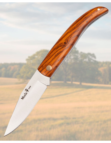 Couteau Muela avec poignée en cocobolo et acier 440A