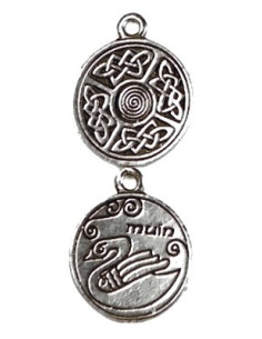 Pendentif Astrologie Celtique Muin