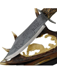 décoratif corne de couteau 2