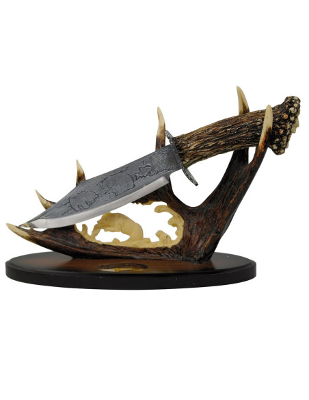 décoratif corne de couteau