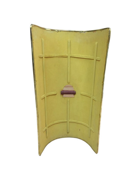 bouclier romain tortue