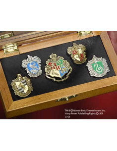 Pins écoles Poudlard, Harry Potter
