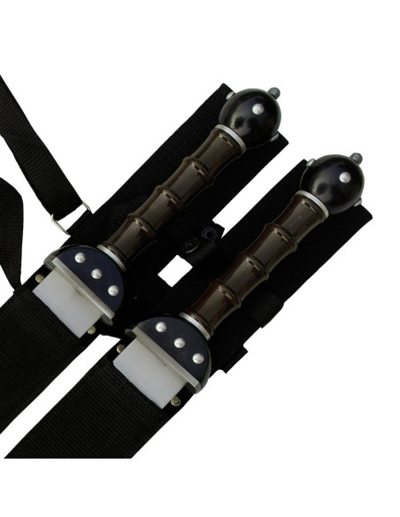 Set 2 Gladius fantastiques à accrocher