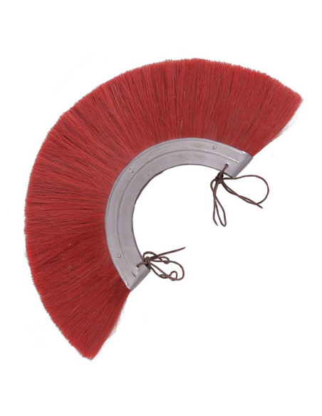 Plume de casque romain