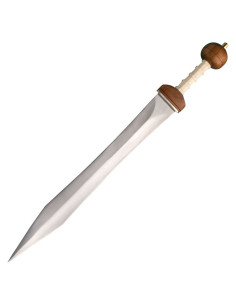 Épée Gladius Maintz 2
