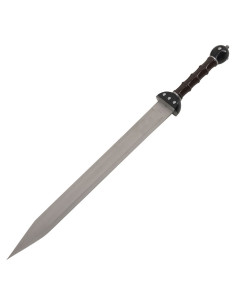 Set 2 Gladius fantastiques à accrocher 2