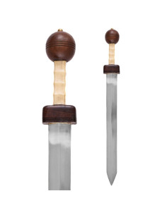 Gladius Pompéi avec fourreau 2